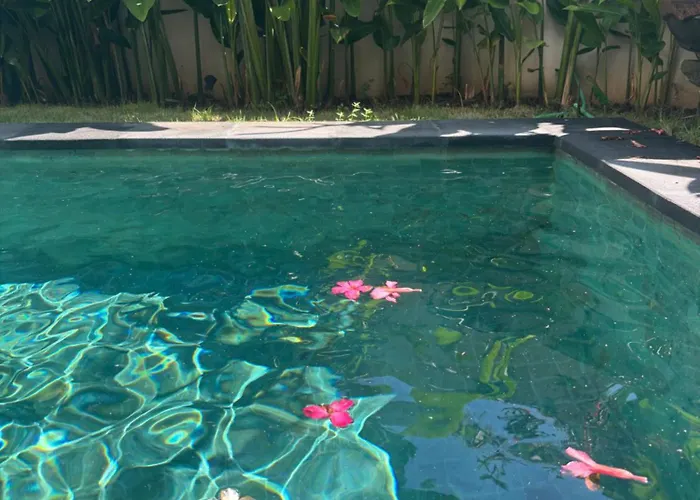 D'tegal Guest House- Tropical Courtyard In Canggu * Denpasar